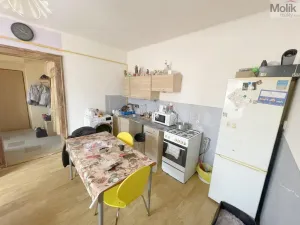 Prodej bytu 2+kk, Louny, Poděbradova, 47 m2