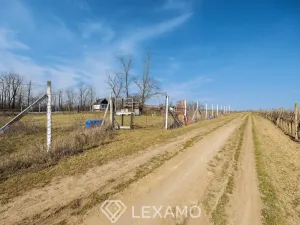 Pronájem zahrady, Vrbovec, 1217 m2