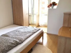 Pronájem bytu 3+1, Ostrava, Zelená, 69 m2