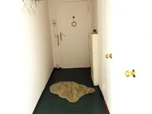 Pronájem bytu 3+1, Ostrava, Zelená, 69 m2