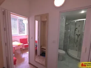 Pronájem bytu 1+1, Brno - Jundrov, 35 m2