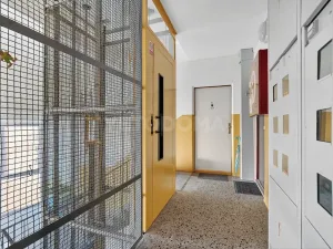 Pronájem bytu 2+1, Plzeň, Elišky Krásnohorské, 60 m2