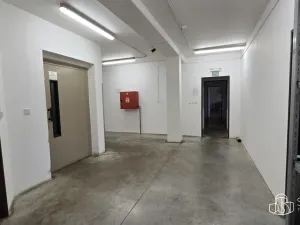 Pronájem výrobních prostor, Sokolov, Trocnovská, 876 m2