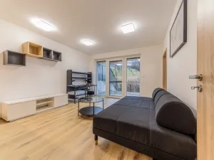 Pronájem rodinného domu, Zlín, Pod Stráněmi, 234 m2