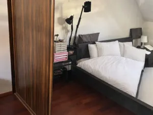 Pronájem bytu 3+kk, Praha - Vinohrady, Jana Masaryka, 110 m2