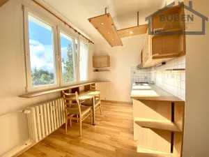 Pronájem bytu 1+1, Planá, Fučíkova, 29 m2
