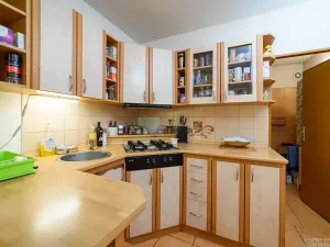 Prodej restaurace, Tábor, Lužnické údolí, 694 m2