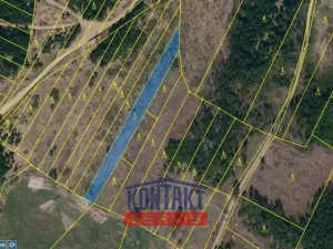 Prodej lesa, Opatov, 11455 m2