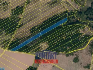 Prodej lesa, Opatov, 11455 m2