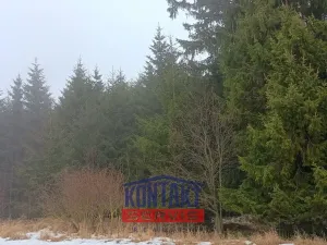 Prodej lesa, Opatov, 11455 m2