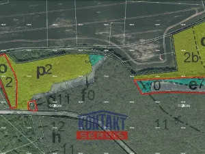 Prodej lesa, Bačalky - Lično, 32004 m2