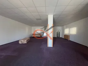 Pronájem bytu 2+kk, Rožnov pod Radhoštěm, 1. máje, 120 m2