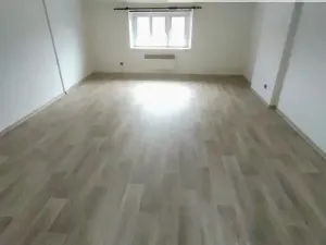 Pronájem bytu 1+1, Děčín - Děčín II-Nové Město, Kamenická, 42 m2