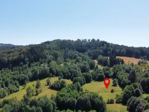 Prodej pozemku pro bydlení, Olešnice v Orlických horách, 3027 m2