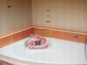 Prodej bytu 2+1, Liberec, Cesta JZD, 46 m2