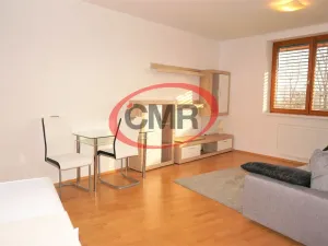 Pronájem bytu 2+kk, Praha, Družstevní ochoz, 44 m2