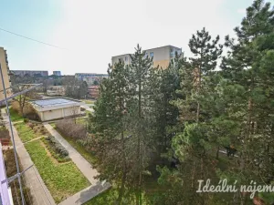 Pronájem bytu 3+1, Brno, Zikova, 74 m2