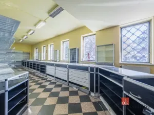Prodej obchodního prostoru, Plzeň - Jižní Předměstí, Korandova, 246 m2