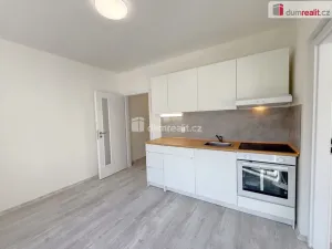 Pronájem bytu 1+1, Ústí nad Labem, Purkyňova, 32 m2