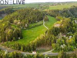 Prodej zahrady, Plasy, 2517 m2