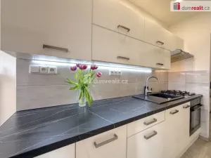 Prodej bytu 2+1, Ústí nad Labem - Střekov, Tolstého, 64 m2