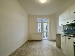 Pronájem bytu 1+1, Ostrava - Přívoz, Hájkova, 50 m2