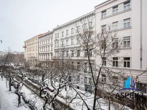 Pronájem bytu 2+1, Praha - Vinohrady, Belgická, 52 m2