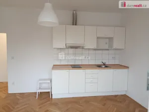 Pronájem bytu 1+kk, Praha - Bubeneč, Ve struhách, 21 m2