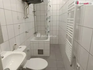 Pronájem bytu 1+kk, Praha - Bubeneč, Ve struhách, 21 m2