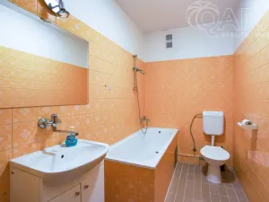 Pronájem rodinného domu, Vyškov, 140 m2