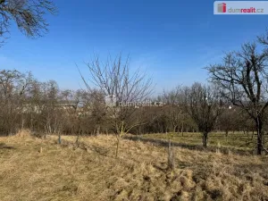 Prodej zahrady, Rataje, 668 m2