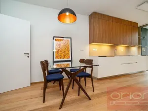 Pronájem bytu 1+kk, Praha - Smíchov, Holečkova, 65 m2