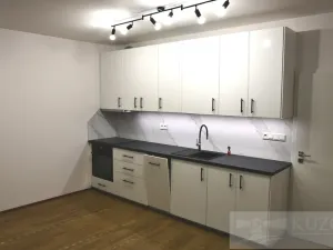 Pronájem bytu 1+kk, Plzeň, Měděná, 33 m2