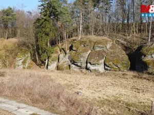 Prodej louky, Vysoká, 1003 m2