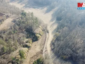 Prodej louky, Vysoká, 1003 m2