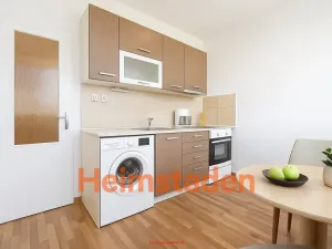 Pronájem bytu 1+kk, Karviná - Hranice, Slovenská, 30 m2