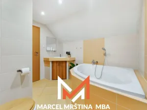 Prodej rodinného domu, Borová, 307 m2