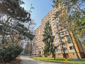 Prodej bytu 2+1, Brno, Horácké náměstí, 71 m2