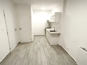 Pronájem bytu 1+1, Praha - Vršovice, Sámova, 40 m2
