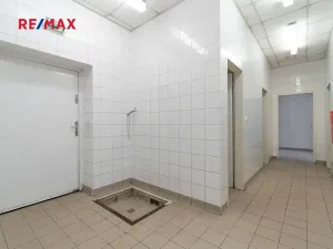 Pronájem obchodního prostoru, Plzeň, 181 m2