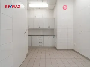 Pronájem obchodního prostoru, Plzeň, 181 m2