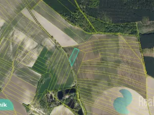 Prodej podílu 1/8 pole, Hlavečník, 3089 m2