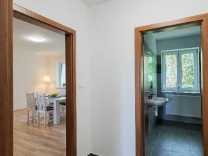 Pronájem apartmánu, Ostrava, Riegrova, 300 m2