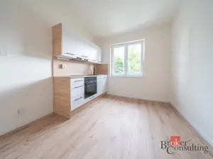 Pronájem bytu 1+1, Ostrava - Mariánské Hory, Cottonové, 37 m2
