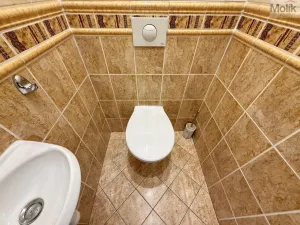 Prodej bytu 3+1, Osek, Slovenská, 75 m2