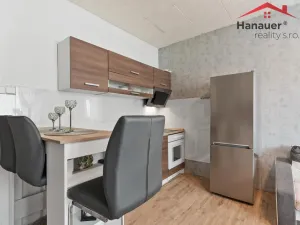 Prodej bytu 2+kk, Děčín - Děčín XXXII-Boletice nad Labem, V Sídlišti, 43 m2