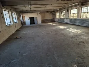 Pronájem výrobních prostor, Slaný, Netovická, 230 m2