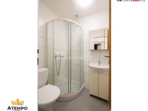 Pronájem bytu 2+kk, České Budějovice - České Budějovice 3, Skuherského, 42 m2