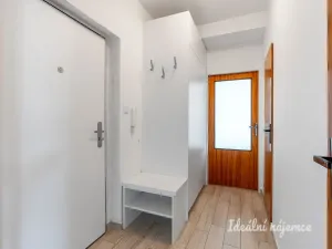 Pronájem bytu 2+kk, Praha, Devonská, 44 m2
