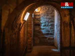 Prodej vinného sklepa, Chvalovice, 62 m2